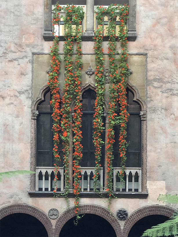 Η Boston Isabel Steward Gardner Museum Hanging Nasturtiums Display