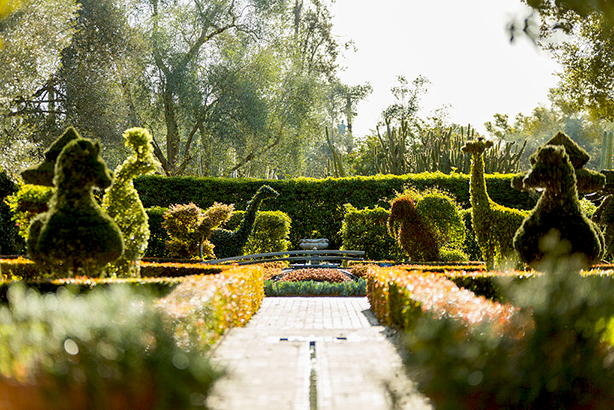 Κήπος Topiary Lotusland