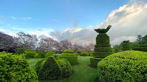 Κήπος Topiary Gardens Longwood