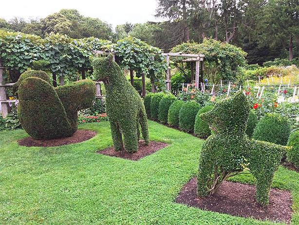 Πράσινα ζώα Topiary Garden