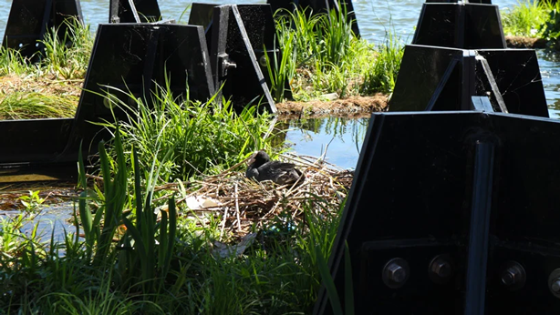 Τα τούβλα του Floating Park φτιαγμένα εξ ολοκλήρου από ανακτήσουν πλαστικά απόβλητα.