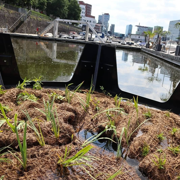 Τα τούβλα του Floating Park φτιαγμένα εξ ολοκλήρου από ανακτημένα πλαστικά απόβλητα διπλά ως καλλιεργητές.